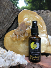 Load image into Gallery viewer, Abundance & Success